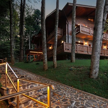 Chalet Royal Sinaia Bagian luar foto